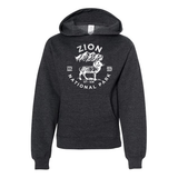 Zion National Park Youth Hoodie Sweatshirt
