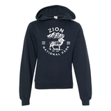 Zion National Park Youth Hoodie Sweatshirt