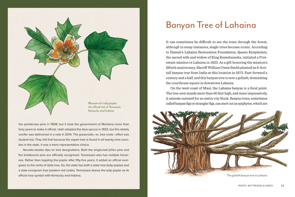 Knowing the Trees