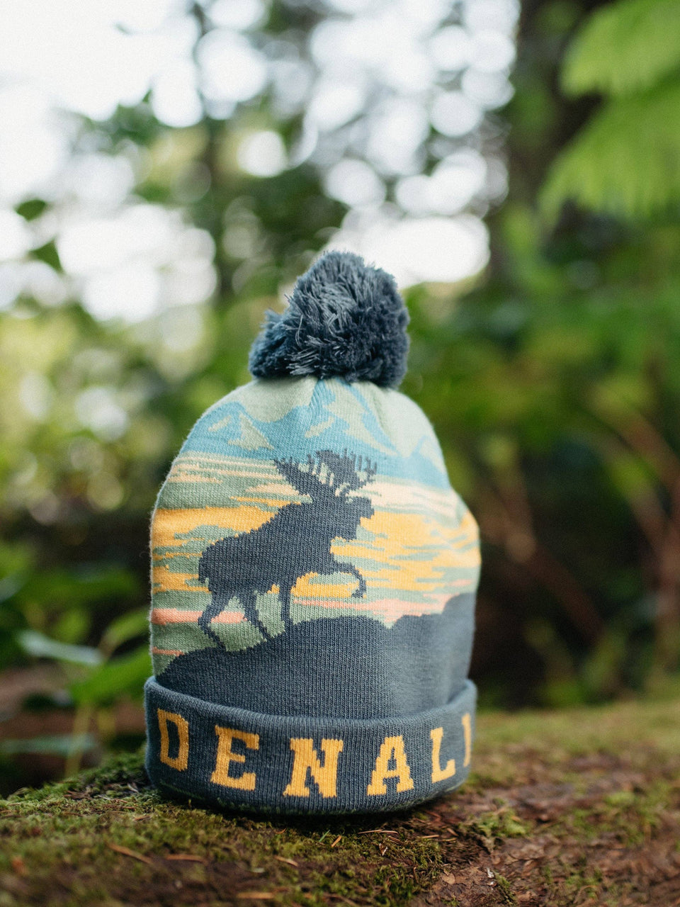 Denali National Park Beanie
