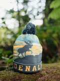 Denali National Park Beanie