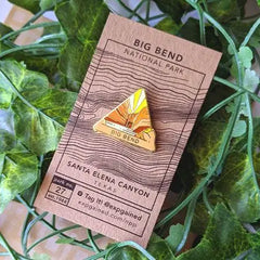 Big Bend National Park Pin