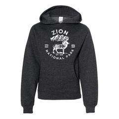 Zion National Park Youth Hoodie