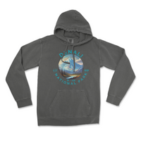 Denali National Park Comfort Colors Hoodie