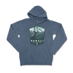 Denali National Park Comfort Colors Hoodie