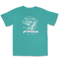 Land of the Free Comfort Colors T Shirt
