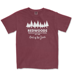 Redwood National Park Comfort Colors T-Shirt – Land of the Giants