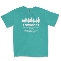 Redwood National Park Comfort Colors T-Shirt – Land of the Giants
