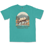 Grand Teton National Park Comfort Colors T Shirt