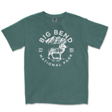 Big Bend National Park Comfort Colors T Shirt