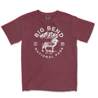 Big Bend National Park Comfort Colors T Shirt