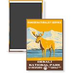 Denali National Park Magnet