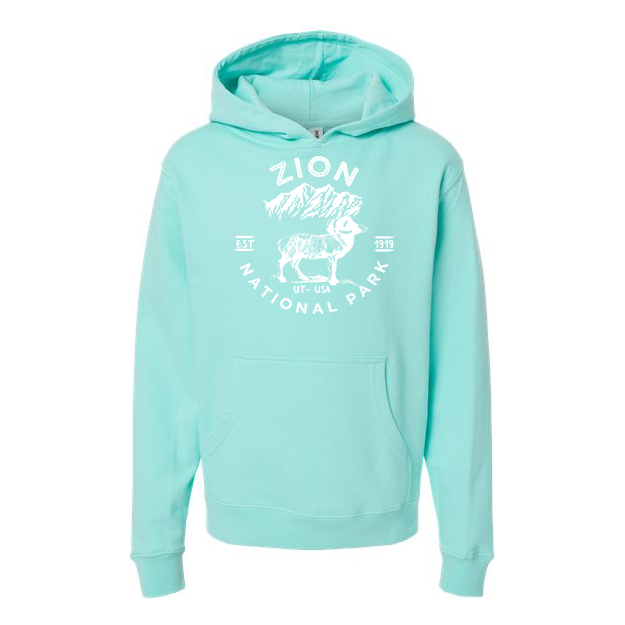 Zion National Park Youth Hoodie