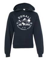 Denali National Park Youth Hoodie Sweatshirt