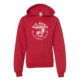 Big Bend National Park Youth Hoodie Sweatshirt