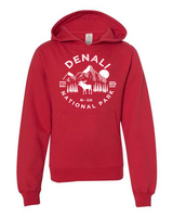 Denali National Park Youth Hoodie Sweatshirt