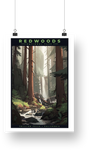 Redwood National Park Poster - Trillium Falls