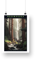 Redwood National Park Poster - Trillium Falls