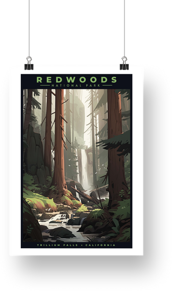 Redwood National Park Poster - Trillium Falls