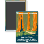 Redwood National Park Magnet