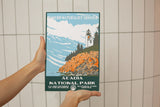 Acadia National Park Poster