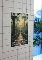 Congaree National Park Poster