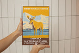 Denali National Park Poster