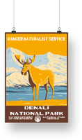 Denali National Park Poster