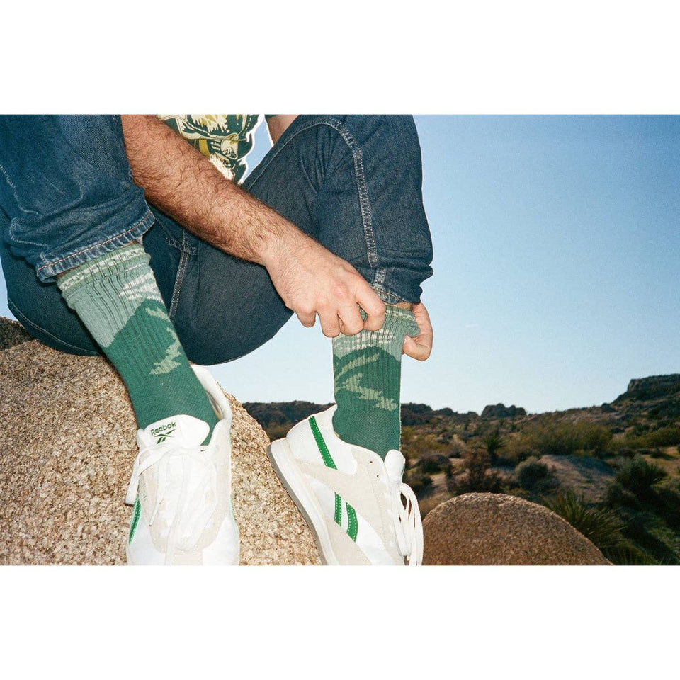 Mount Rainier National Park Socks