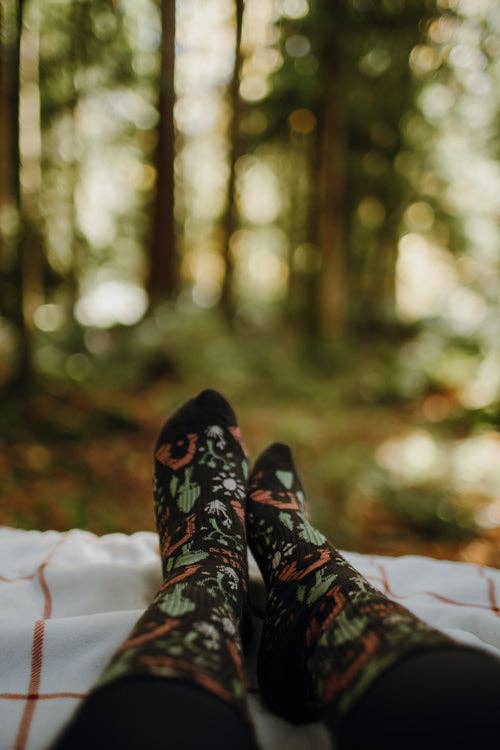 National Park Roundup Socks