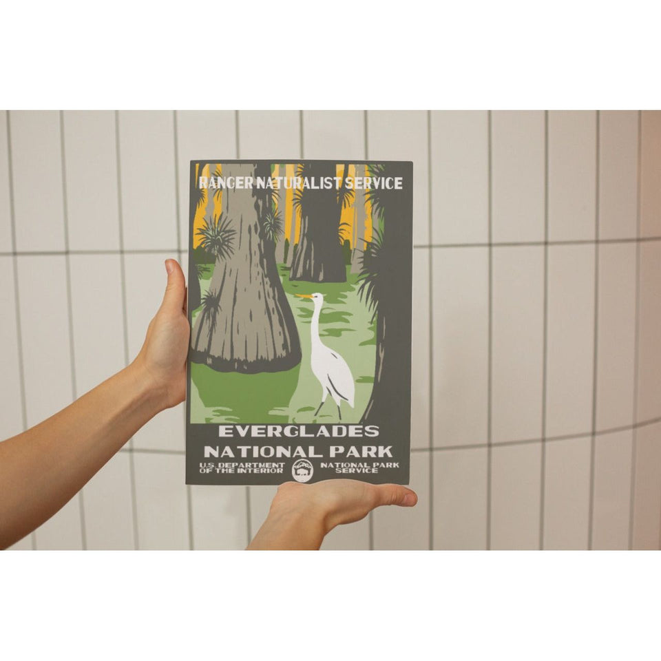 Everglades National Park Poster – Cypress Trees & Wading Bird – Ranger Header