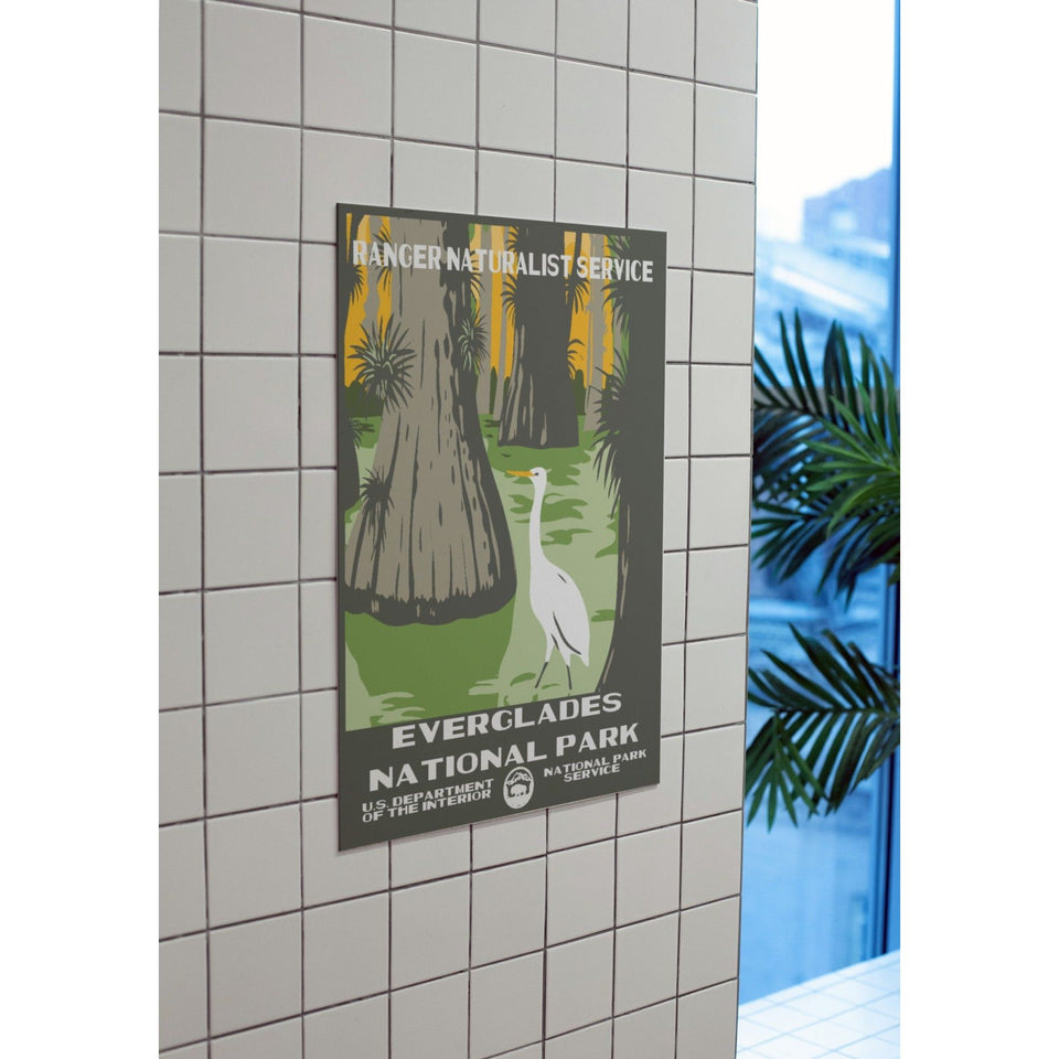 Everglades National Park Poster – Cypress Trees & Wading Bird – Ranger Header
