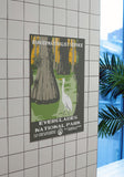 Everglades National Park Poster