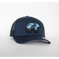 Northern Lights Grizzly Bear Hat