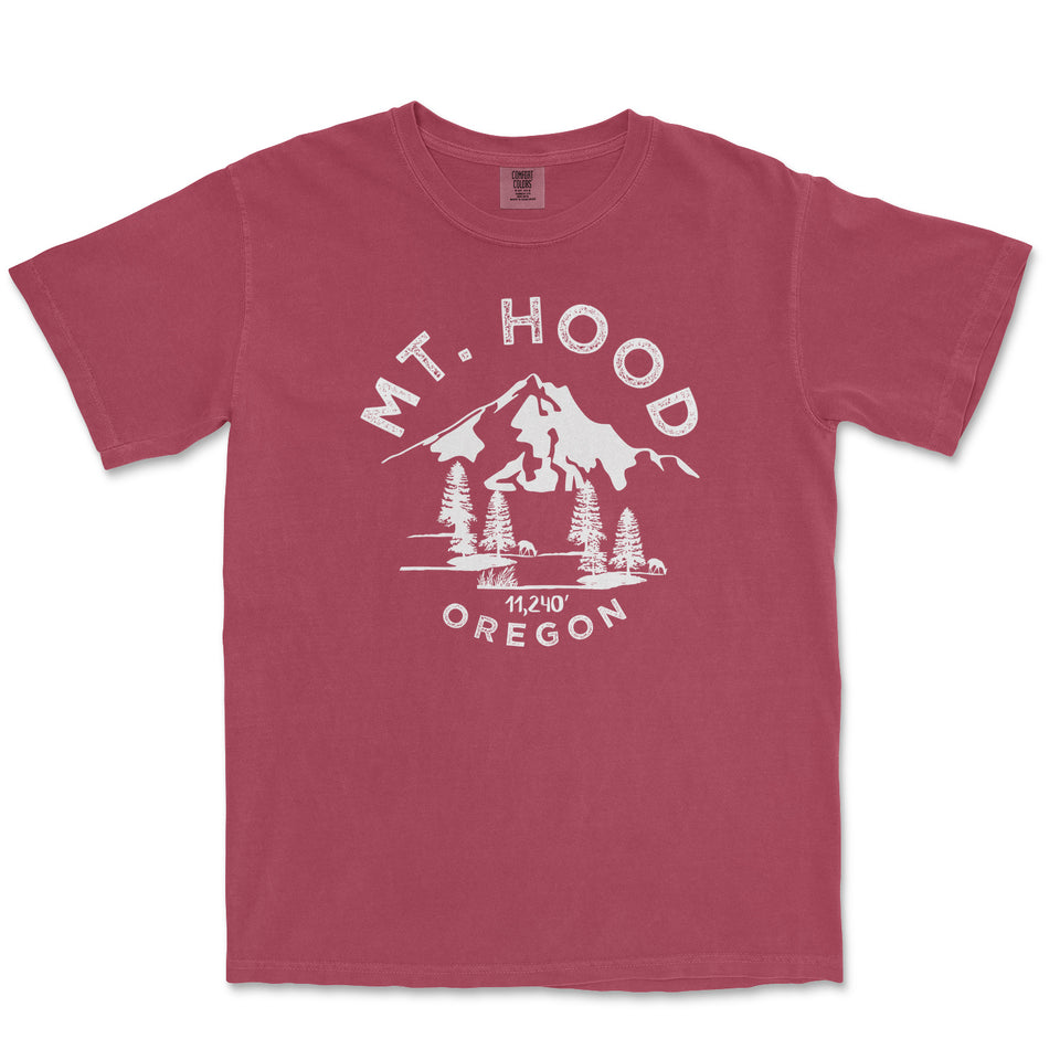Mount Hood Garment-Dyed T-Shirt in Brick — corrected mockup