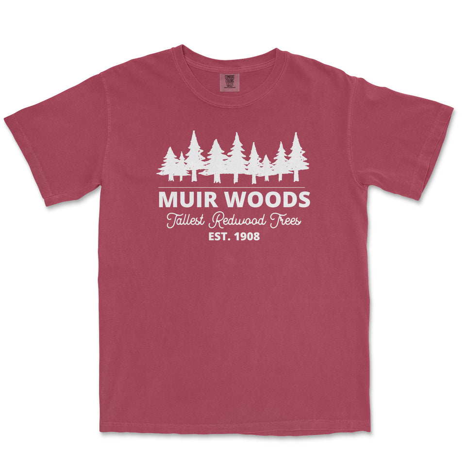 Muir Woods Garment-Dyed T-Shirt in Brick — corrected mockup
