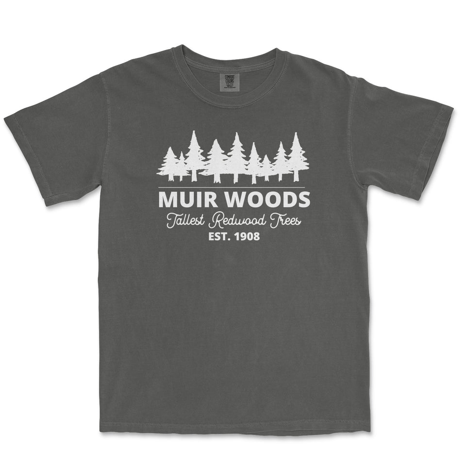 Muir Woods Garment-Dyed T-Shirt in Pepper — corrected mockup
