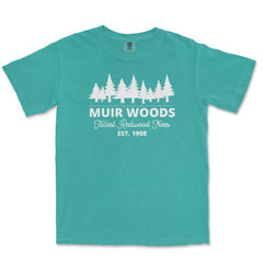 Muir Woods Garment-Dyed T-Shirt in Seafoam — corrected mockup