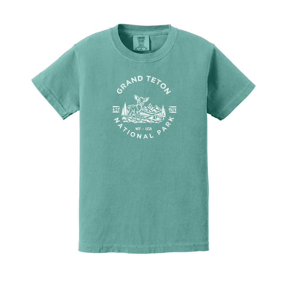Grand Teton children's Comfort Colors 9018 T-shirt in Seafoam