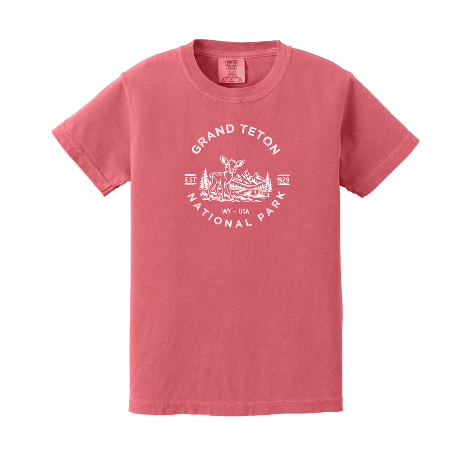 Grand Teton children's Comfort Colors 9018 T-shirt in Watermelon