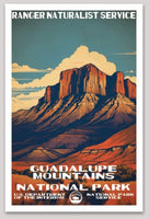 Guadalupe Mountains National Park WPA Sticker Large