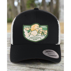 Shenandoah National Park Mesh Snapback Hat in Black/White — corrected original-photo color mockup