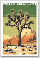 Joshua Tree National Park WPA Sticker Large