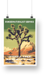 Joshua Tree National Park Poster