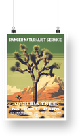 Joshua Tree National Park Poster