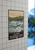 Katmai National Park Poster