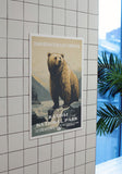 Katmai National Park Poster