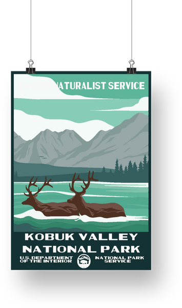 Kobuk Valley National Park Poster