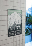 Mount Rainier National Park Poster