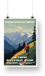 Olympic National Park Poster